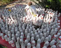 野間大坊の写真・動画_image_25982