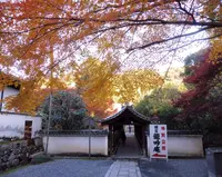 龍吟庵の写真・動画_image_169445