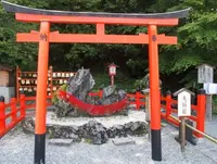 出雲大神宮の写真・動画_image_99331