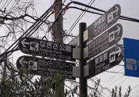 川沿いの散歩道の写真・動画_image_17639