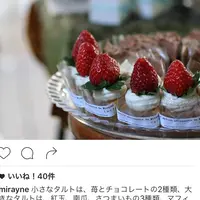 ミレイネの写真・動画_image_209305