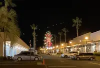 マリーナホップの写真・動画_image_1502540