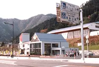 はっとうの写真・動画_image_138669