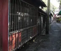 謎の路地裏の写真・動画_image_29102