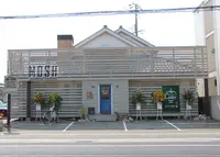 MOSHの写真・動画_image_154572