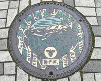 旧軽井沢銀座の写真・動画_image_512075