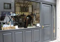 TEAPONDの写真・動画_image_136912