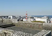 中央公園の写真・動画_image_68129