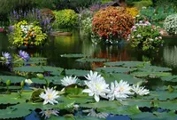 草津宿本陣の写真・動画_image_66902