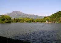 三島池から伊吹山の写真・動画_image_128533