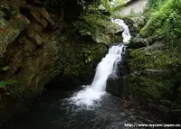 鳴滝駅の写真・動画_image_65806