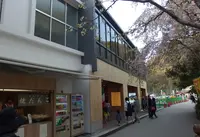 高尾山口駅の写真・動画_image_155058
