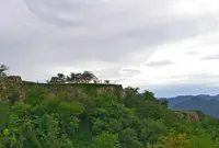 竹田城跡の写真・動画_image_142029