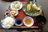 卯柳 先斗町 花の写真・動画_image_148576