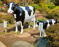 善光寺史料館の写真・動画_image_511913