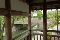 八幡川緑地の写真・動画_image_42124