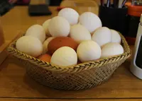 卵庵はしたまの写真・動画_image_23090