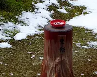 東林院の写真・動画_image_252893