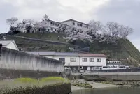 向島の写真・動画_image_1600575