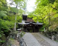 清水寺の写真・動画_image_235584