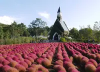 ひるがの高原 牧歌の里の写真・動画_image_662437