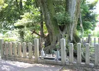 徳川家康最後陣跡の写真・動画_image_104765