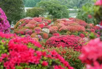 鶴峯公園の写真・動画_image_310047