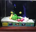 ヨコハマおもしろ水族館・赤ちゃん水族館の写真_198522