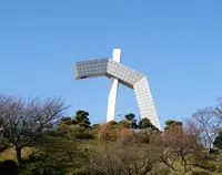 中央公園の写真・動画_image_67955