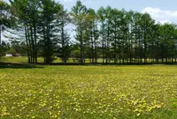 茅野市尖石縄文考古館の写真・動画_image_310005