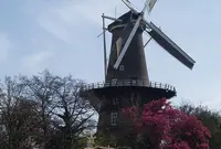 デ・ヴァルク風車の写真・動画_image_524039