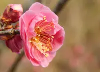 けいはんな記念公園の写真・動画_image_179952