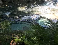 河津七滝の写真・動画_image_315390