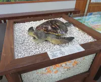 Xiaoliuqiu Visitor Centerの写真・動画_image_538471