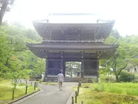 林泉寺の写真・動画_image_259300