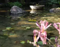 アサヒビール大山崎山荘美術館の写真・動画_image_99982