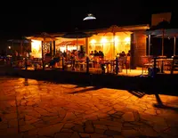 江の島サムエル・コッキング苑の写真・動画_image_25834