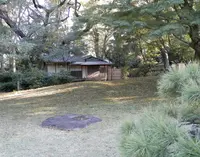 六義園の写真・動画_image_50821