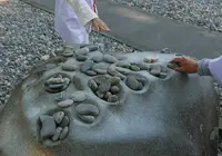 最御崎寺の写真・動画_image_46413
