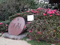 祇園神社の写真・動画_image_249267