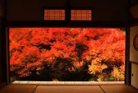 但熊の写真・動画_image_64180