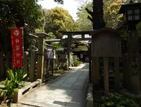 白雲神社の写真・動画_image_173819