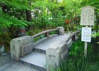 清明神社の写真・動画_image_131493