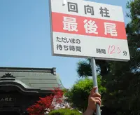 善光寺の写真・動画_image_33391