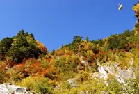 日暮の滝の写真・動画_image_421432