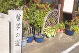 哲学の道