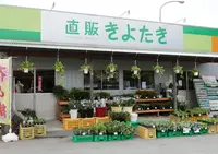 清瀧の写真・動画_image_46456