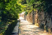 日吉大社の写真・動画_image_75995
