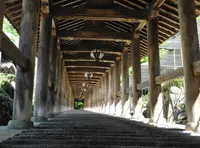 長谷寺の写真・動画_image_132602