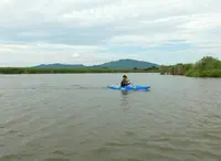 水郷のさとまるやまの写真・動画_image_42083